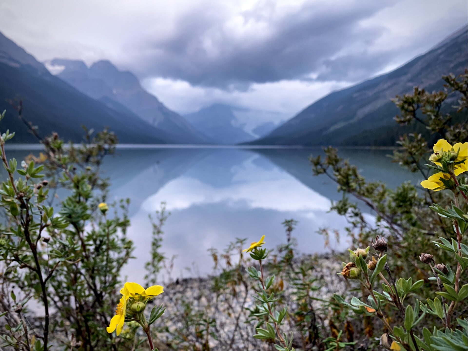 Glacier Lake - a backpacking trail along the Icefields Parkway 