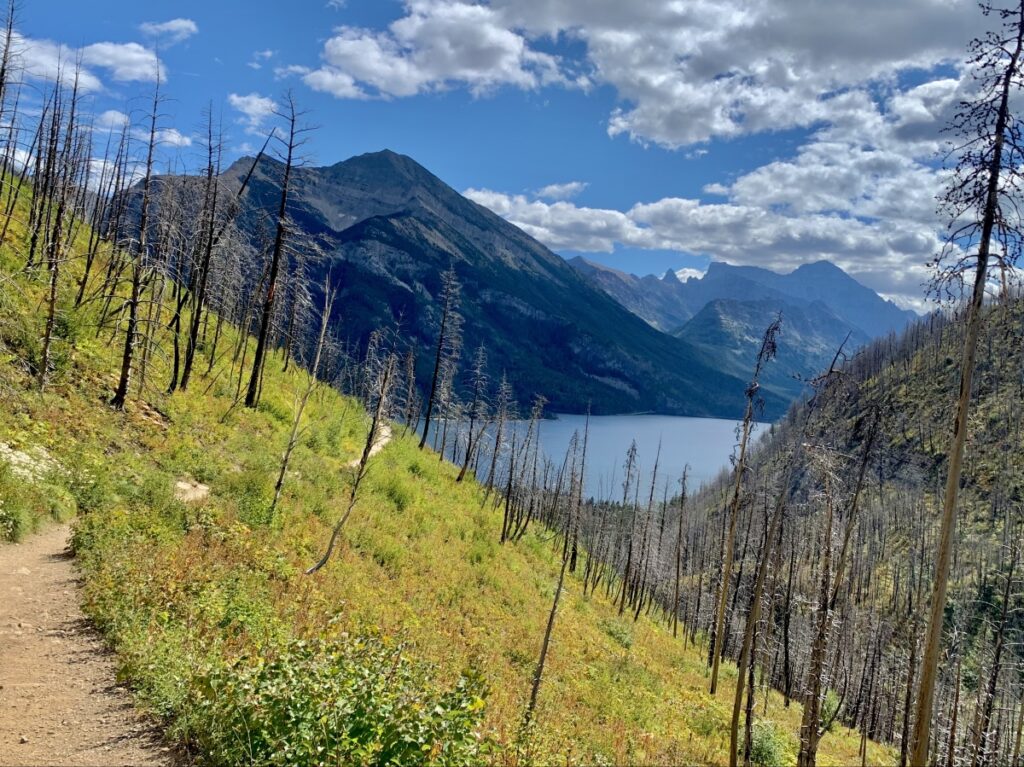 Bertha Lake trail - Waterton Lakes National Park