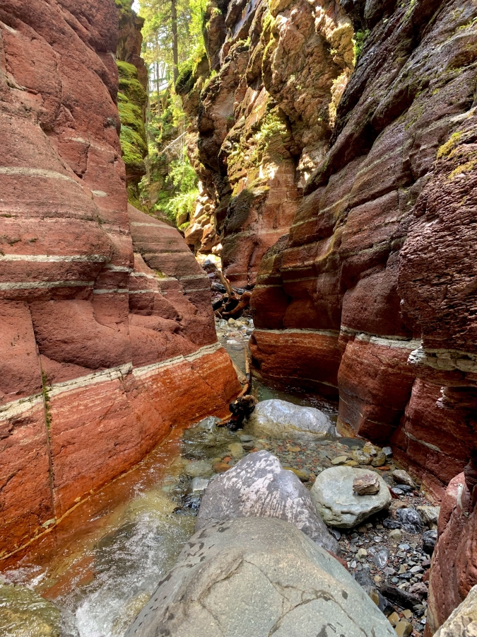 Red Rock Canyon - Waterton Lakes National Park