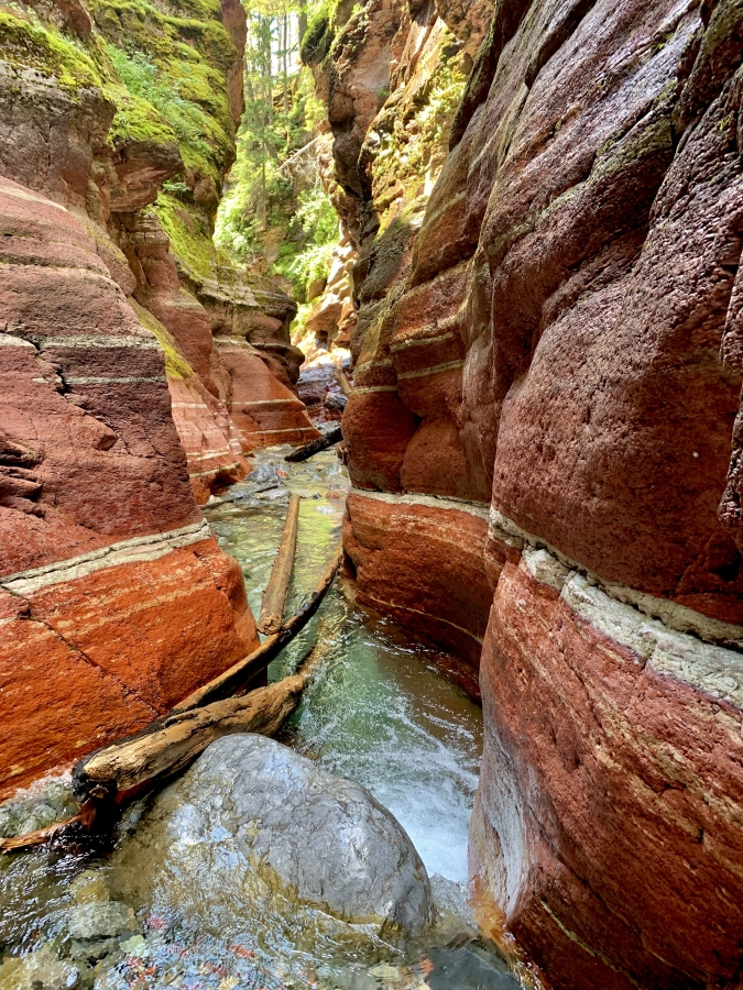 Fun things to do in Waterton - red rock canyon