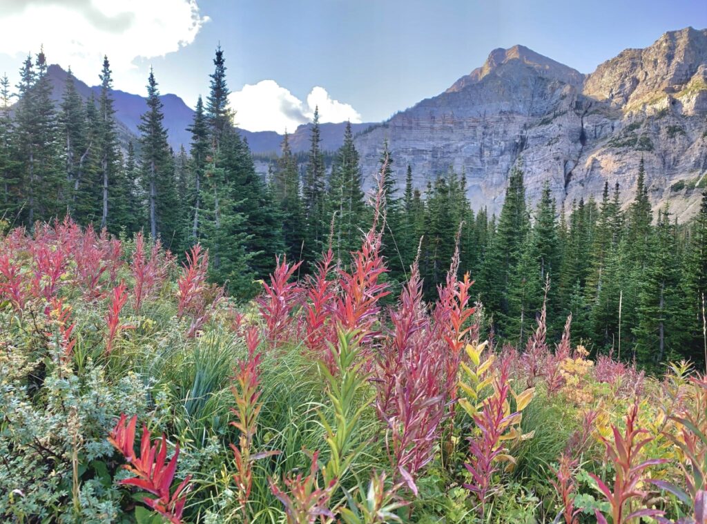 Crypt Lake hike - Waterton Lakes National Park