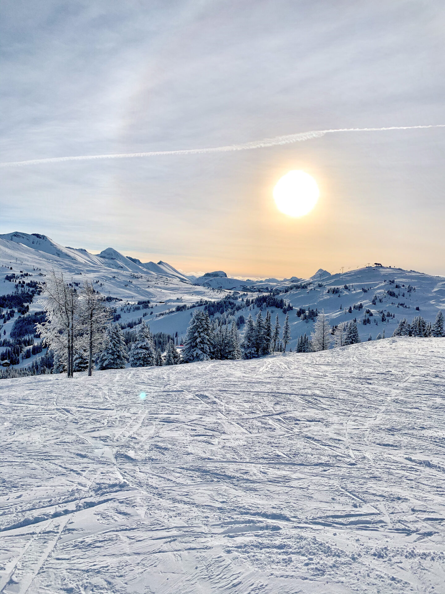 Local's Guide to Skiing Sunshine Village 