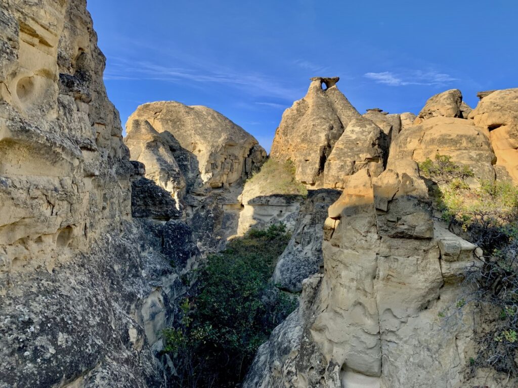 Hoodoo trail, Writing on Stone Provincial Park