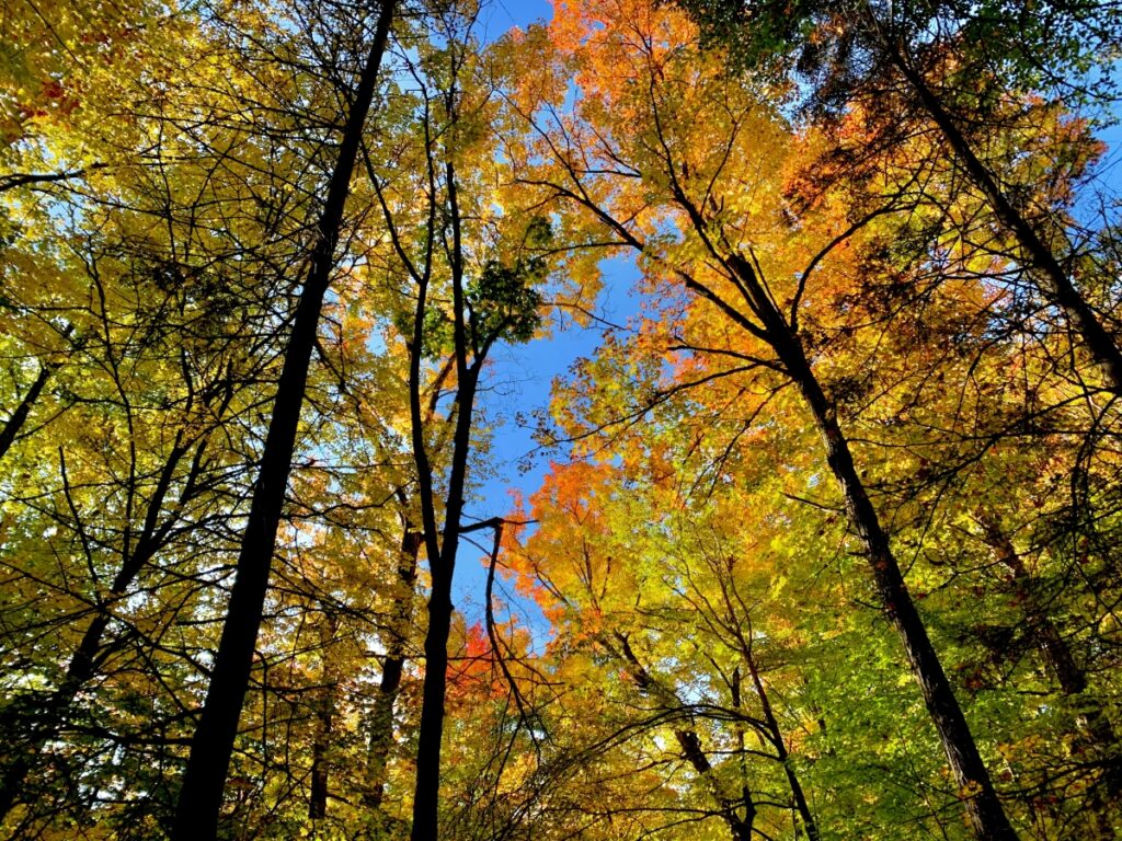 Highland Backpacking Trail, Algonquin Provincial Park