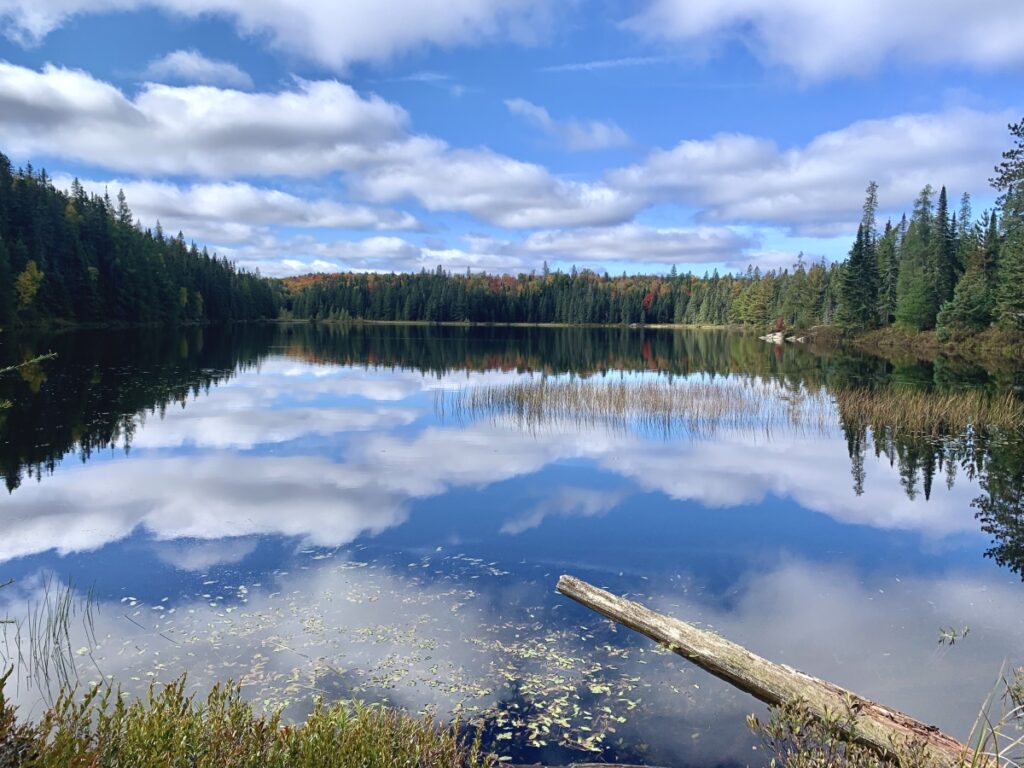 Faya Lake, Algonquin Provincial Park