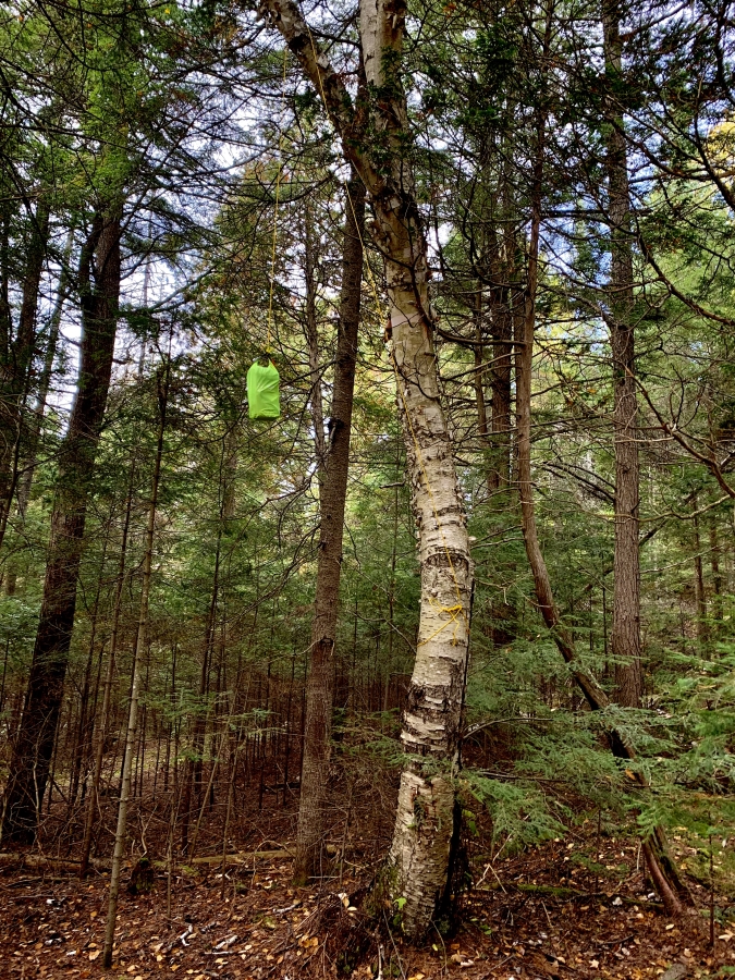 Highland Backpacking Trail, Algonquin Provincial Park