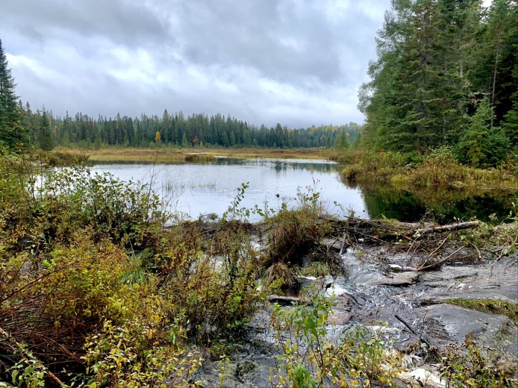 Fly Lake on the Highland Backpacking Trail, Algonquin Provincial Park