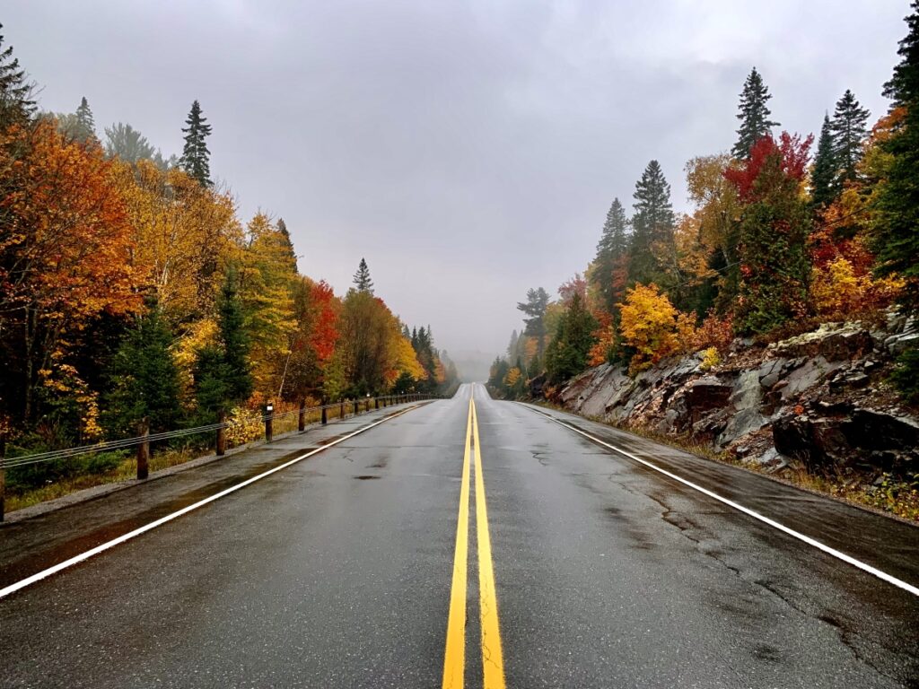 Fall in Algonquin