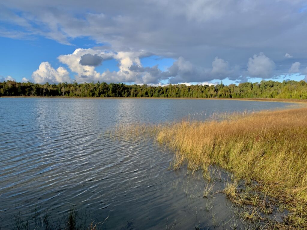 Horse Lake, Bruce Peninsula National Park