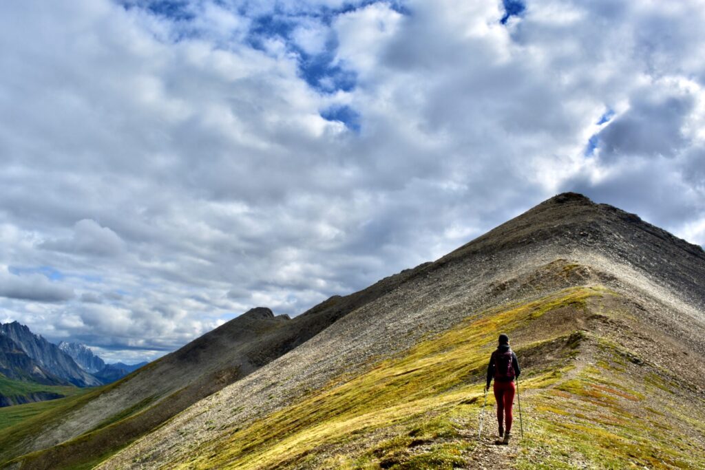 Opal Ridge Loop