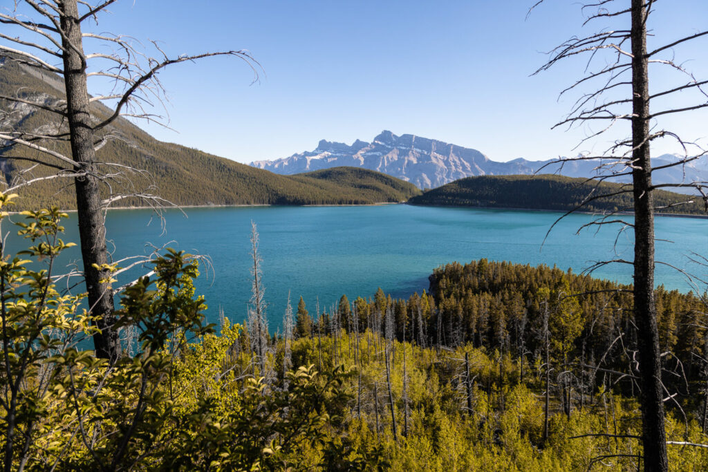 Mount Rundle from Lake Minnewanka 