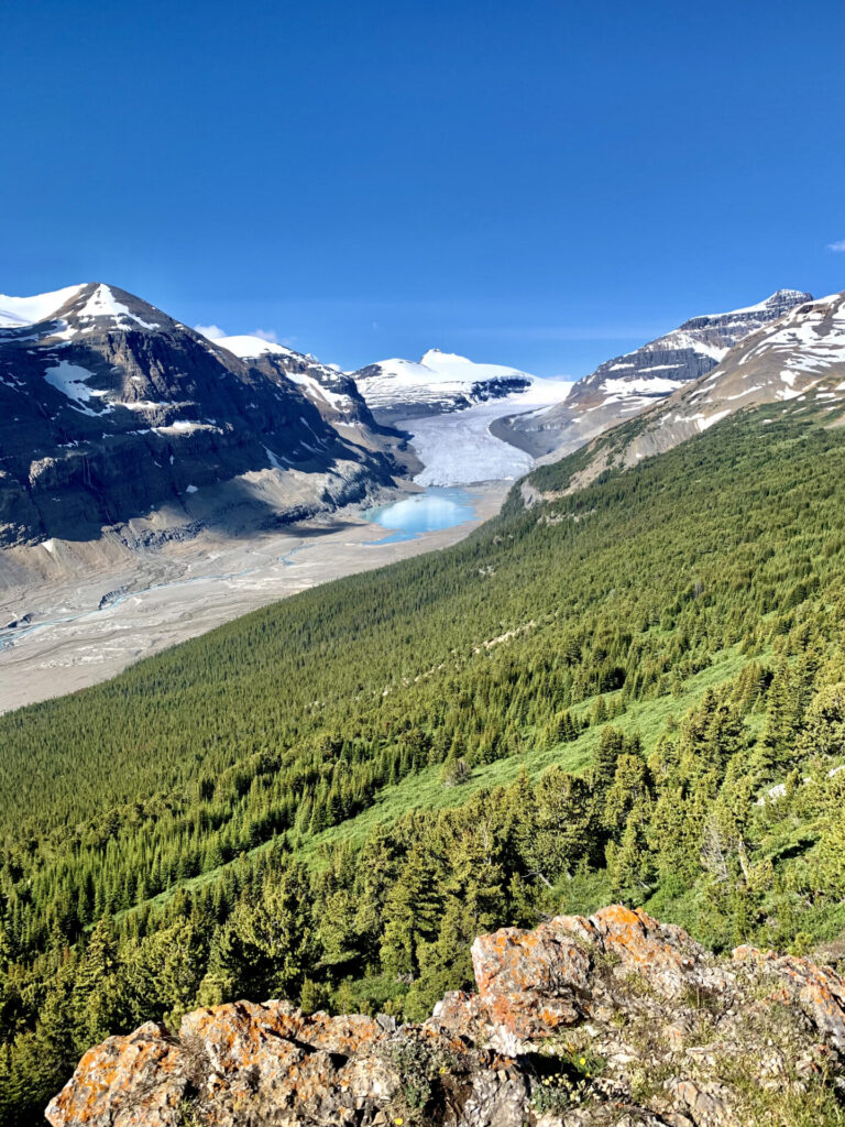 Parker Ridge to Saskatchewan Glacier 