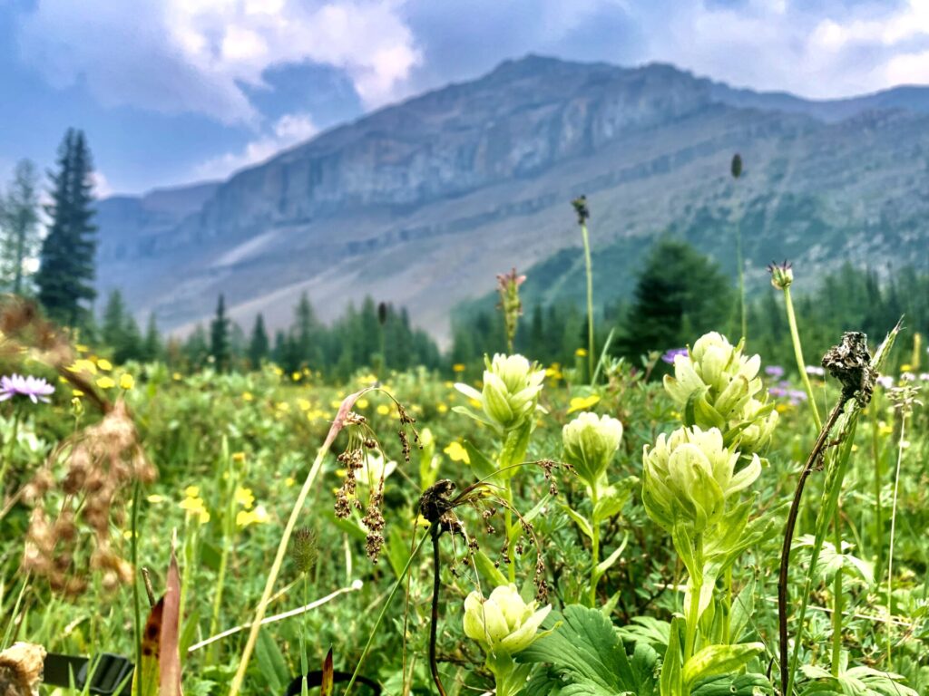 Banff Skoki Loop