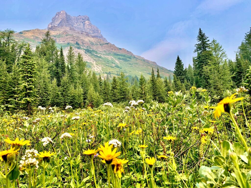 Fossil Mountain, Banff Skoki Loop