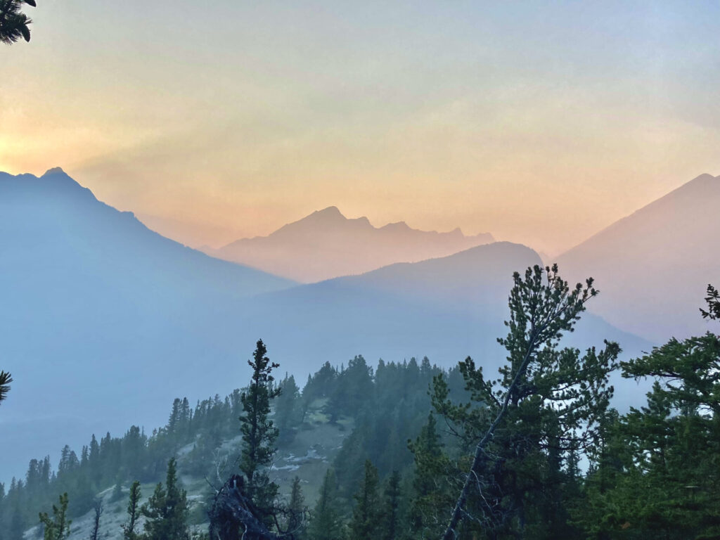 Tunnel Mountain - easy hikes in Banff