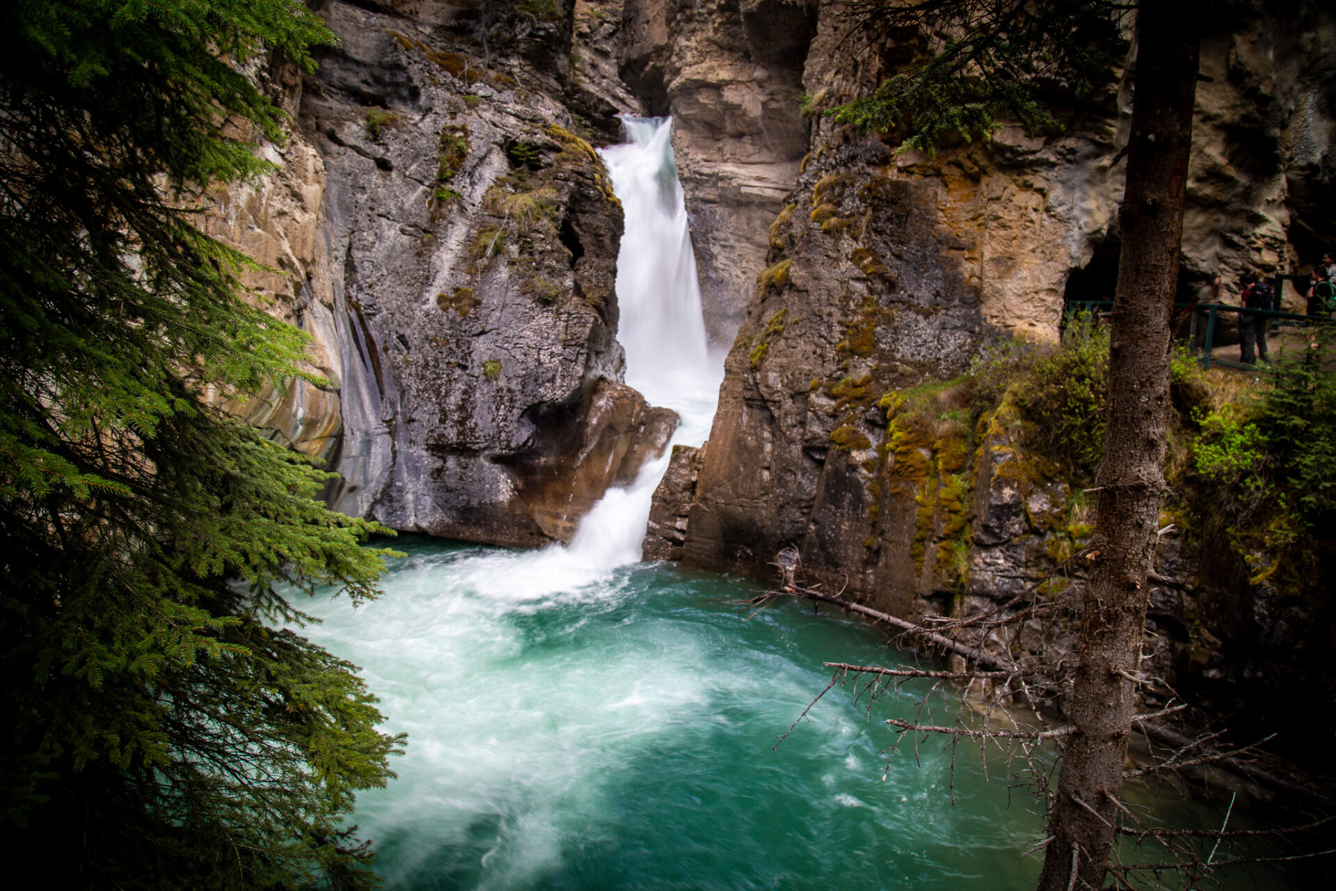 Easy Banff hikes with waterfalls 