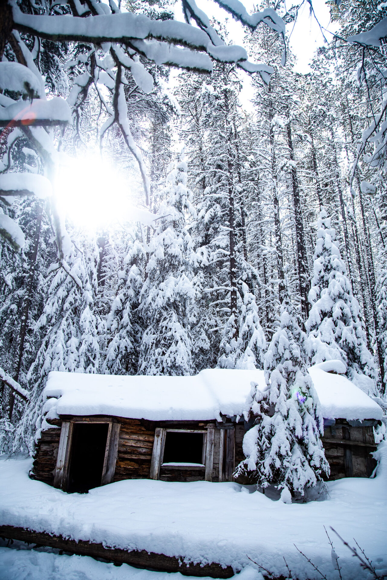 Easy hikes in Banff - winter