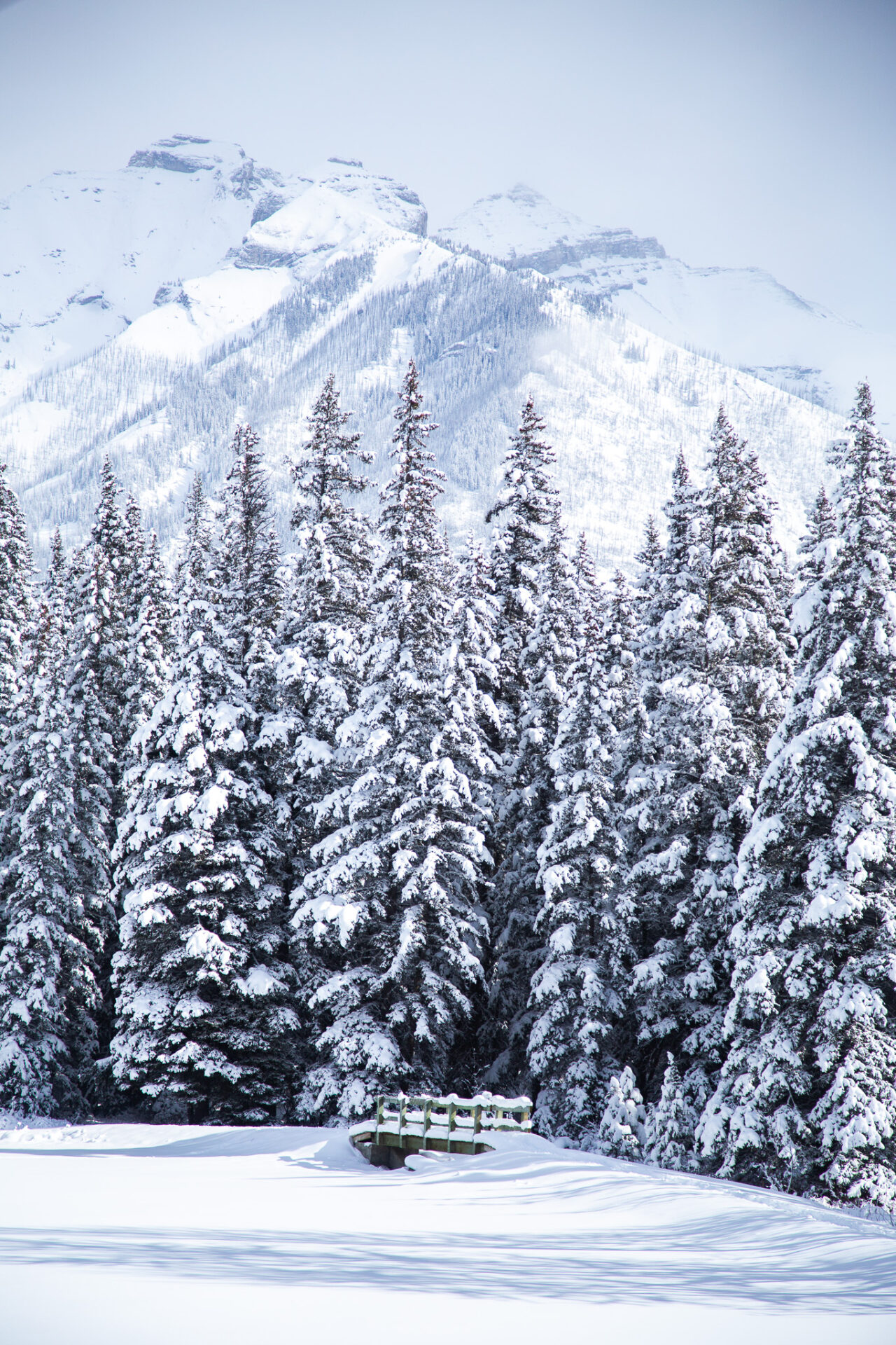 Easy hikes in Banff - winter 