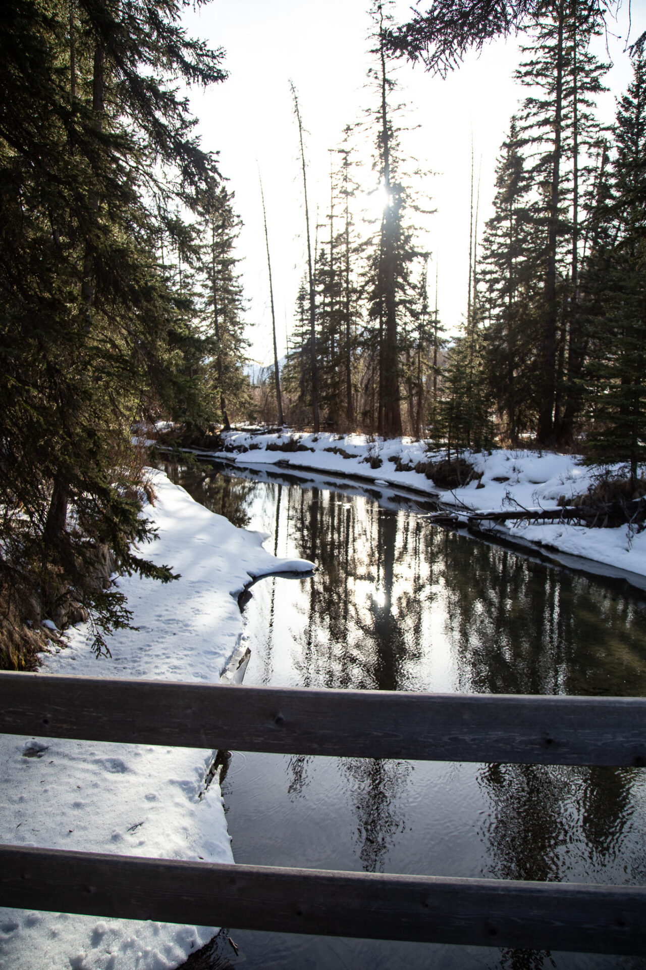 Easy hikes in Banff you can walk to