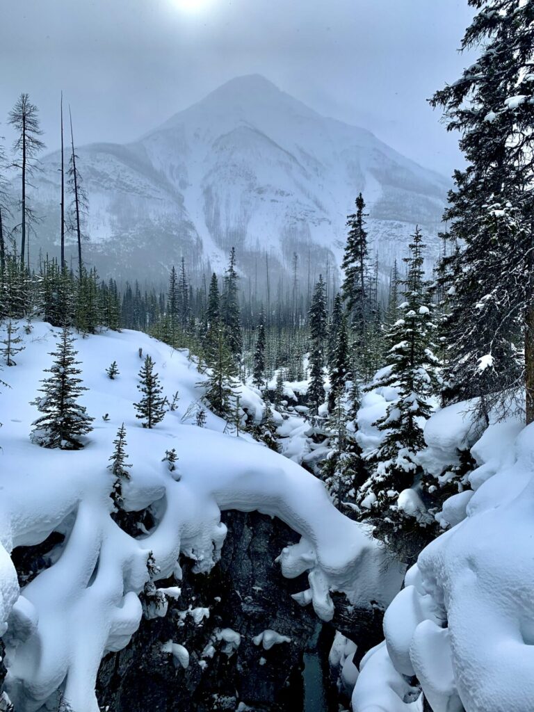 Marble Canyon - Things to do in Banff in winter