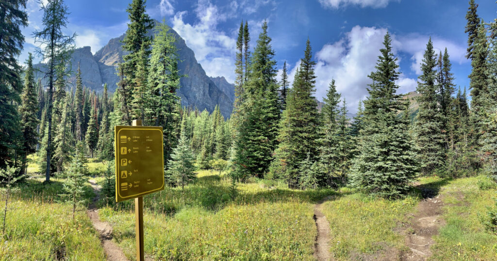 Taylor Lake Trail in Banff