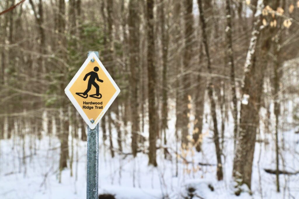 winter hikes in Arrowhead to Stubb's Falls