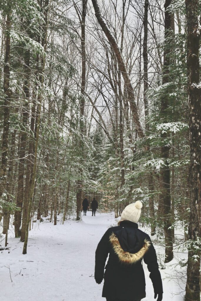 Hiking to Stubb's Falls, Arrowhead