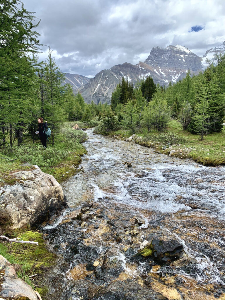 Larch Valley, banff