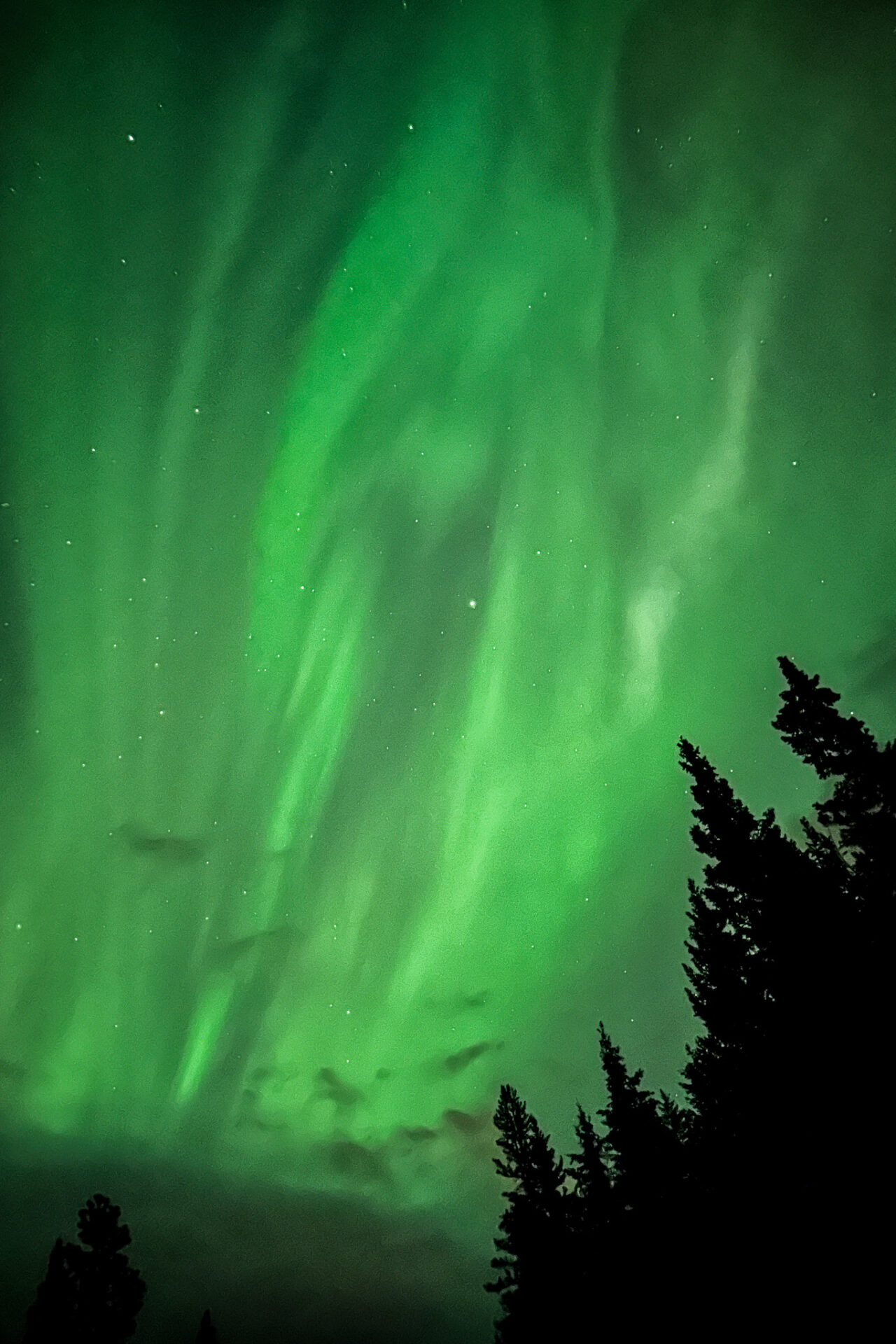 Banff northern lights - where to see them 