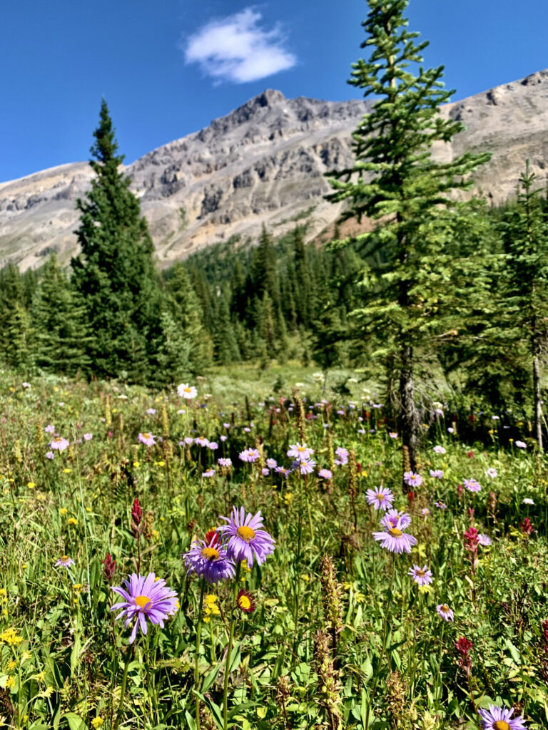 Rockbound Lake hike & Castle Mountain - Banff