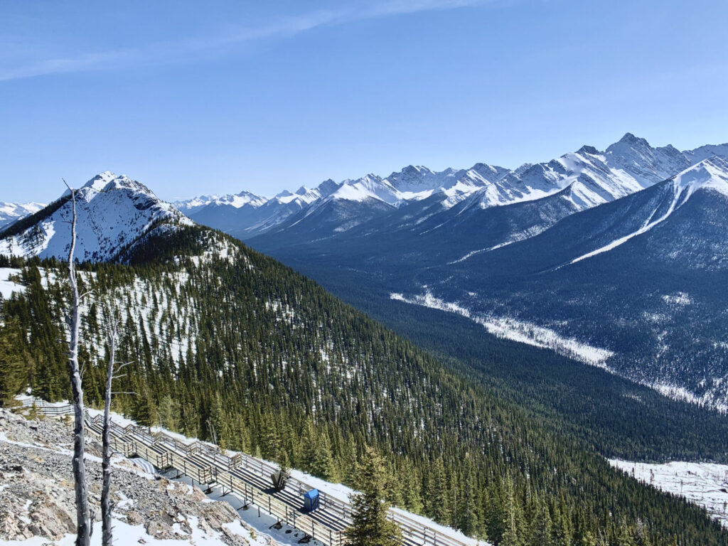 Banff's Sulphur Mountain hike