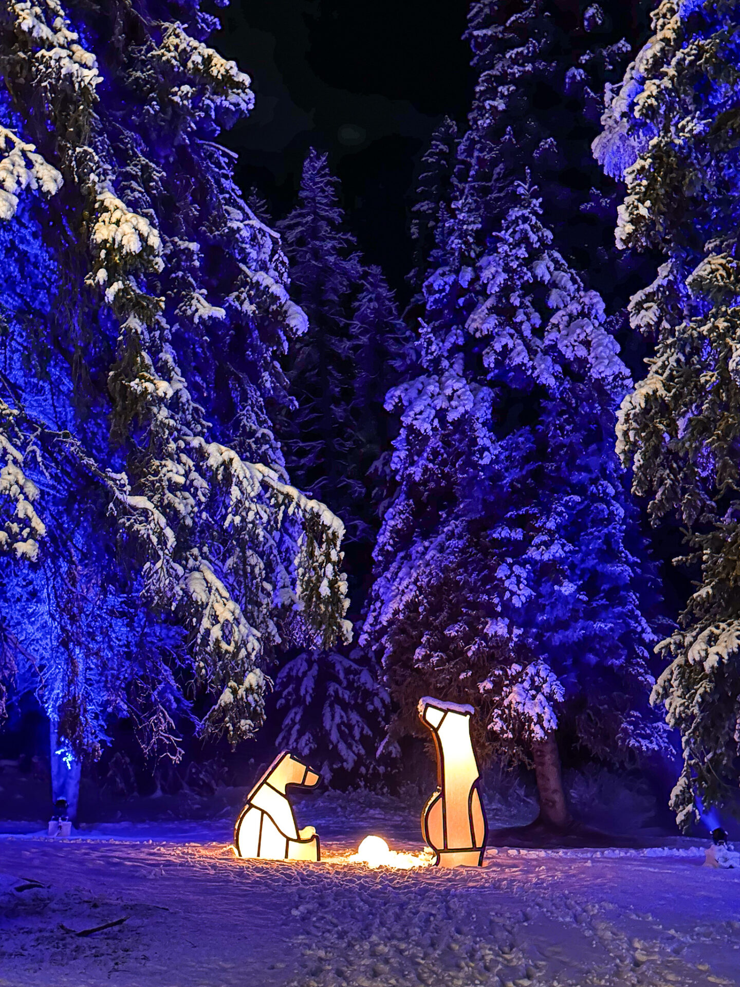 In Search of Christmas Spirit - things to do in Banff in winter 