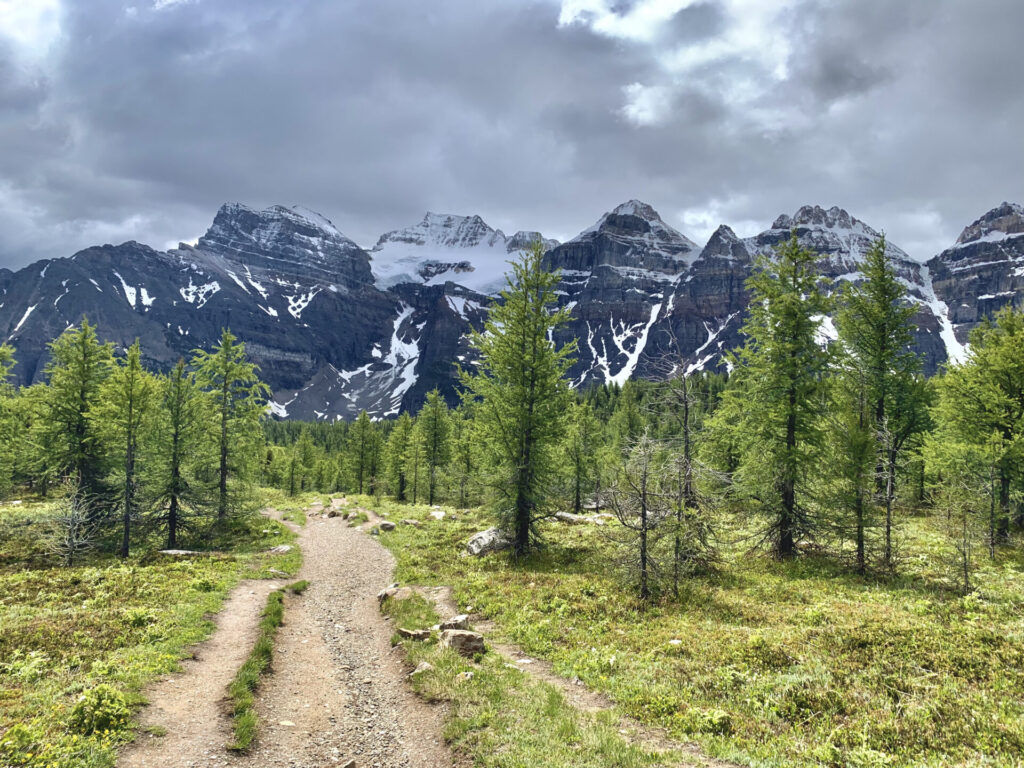 Larch Valley and the Valley of the 10 Peaks