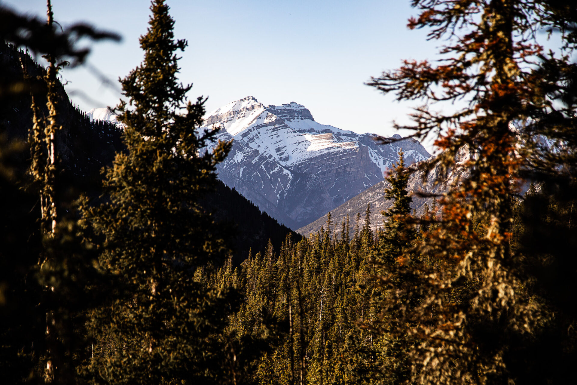 Ha Ling Peak trail