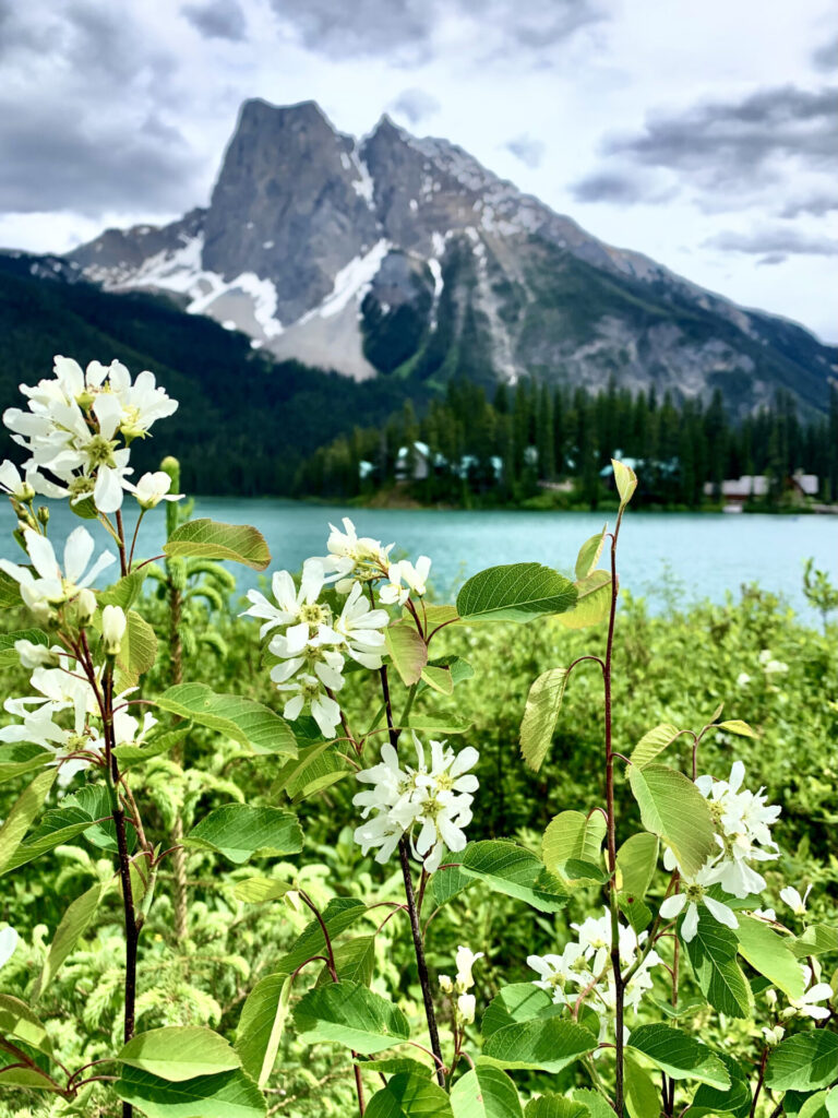 Day trip to Yoho National Park - Emerald Lake 