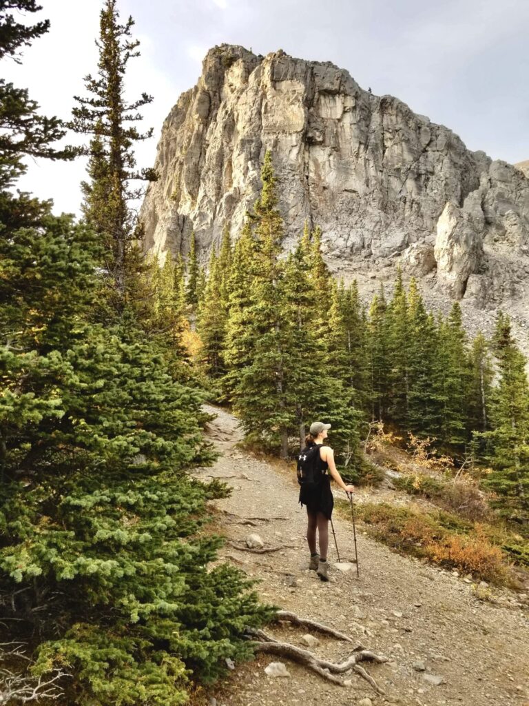 Mount Yamnuska Lookout, Kananaskis