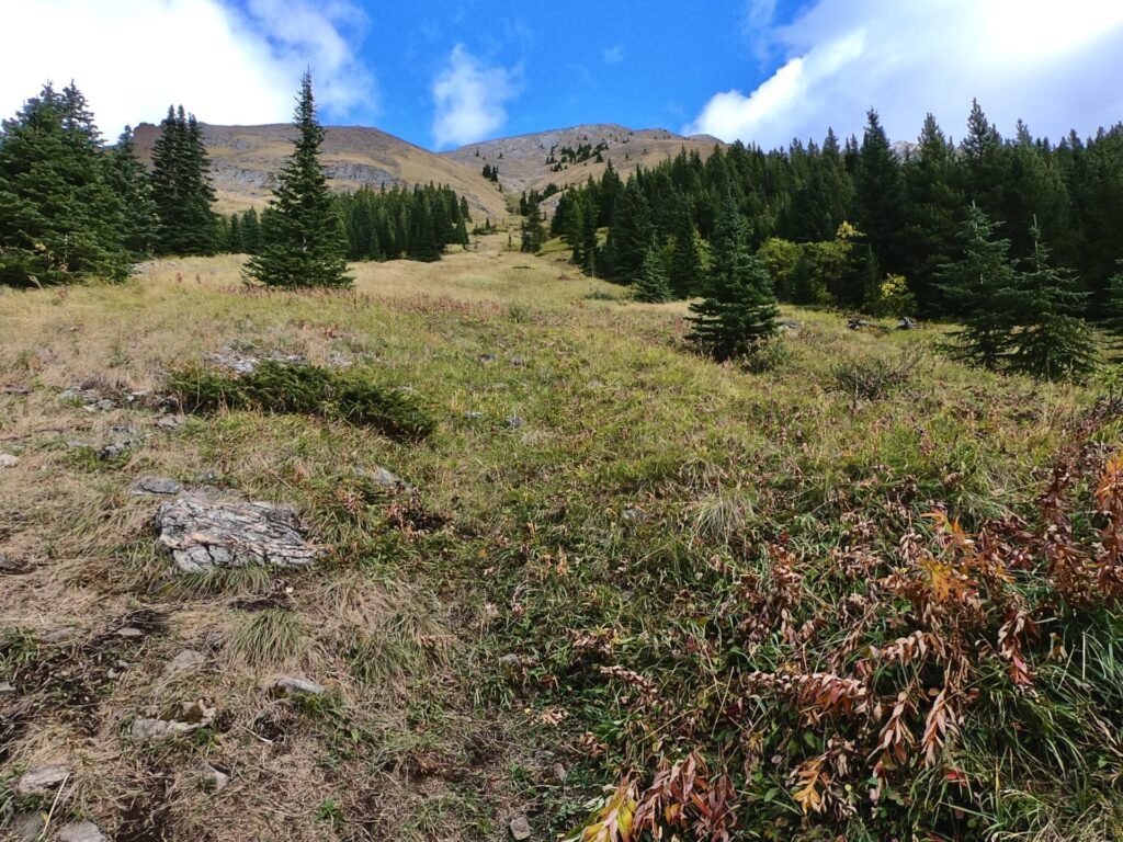 Picklejar Lakes hike in Kananaskis 