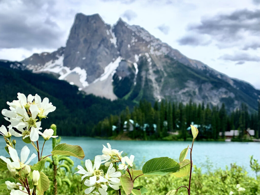 one day trip to jasper