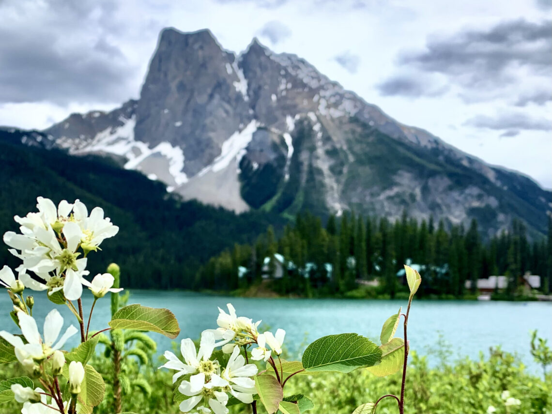 How To Spend Day In Yoho National Park The Holistic Backpacker