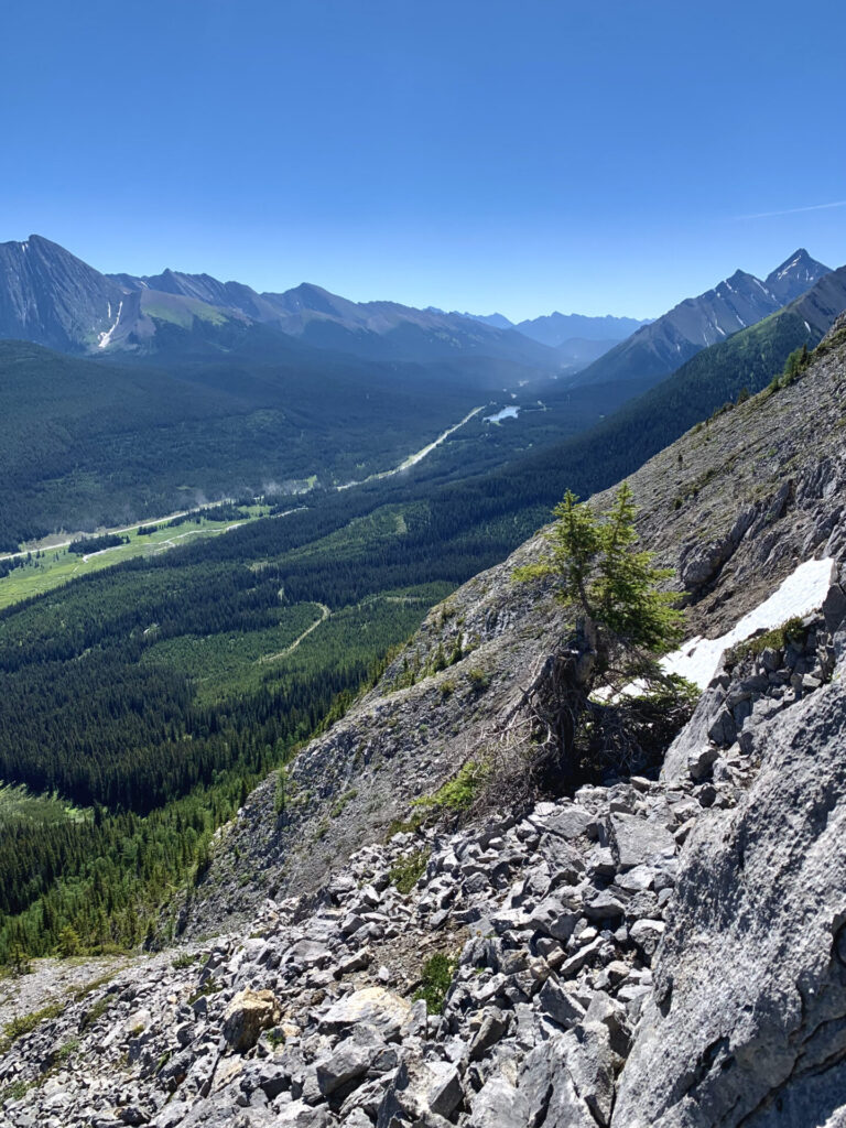 Tent Ridge hike in Kananaskis 