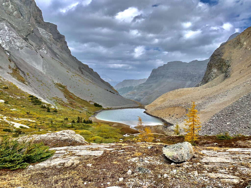 Harvey Pass trail in Banff