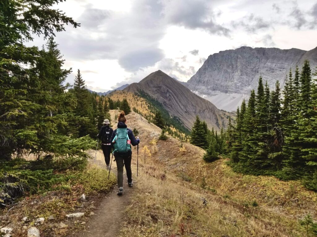 Pocaterra Ridge hike in Kananaskis