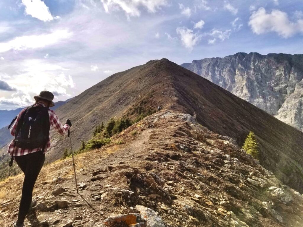 Pocaterra Ridge hike in Kananaskis