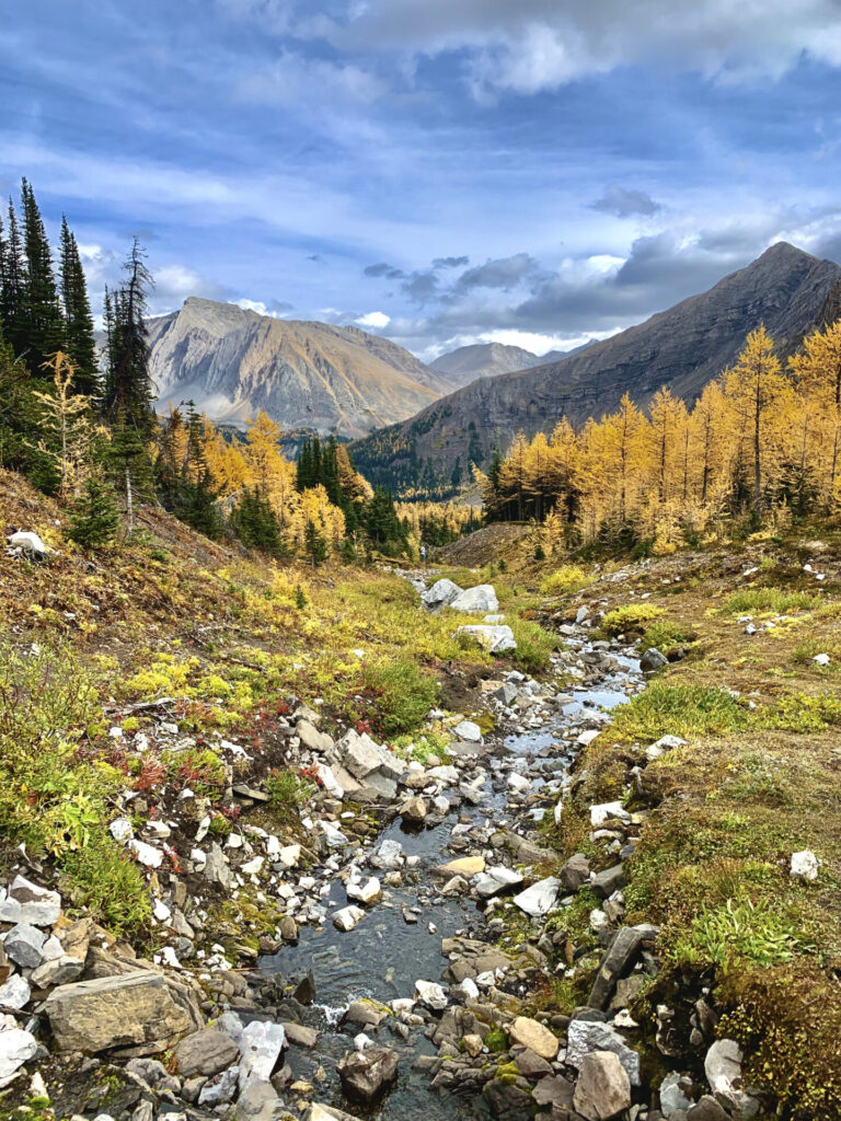 Pocaterra Cirque hike in Kananaskis