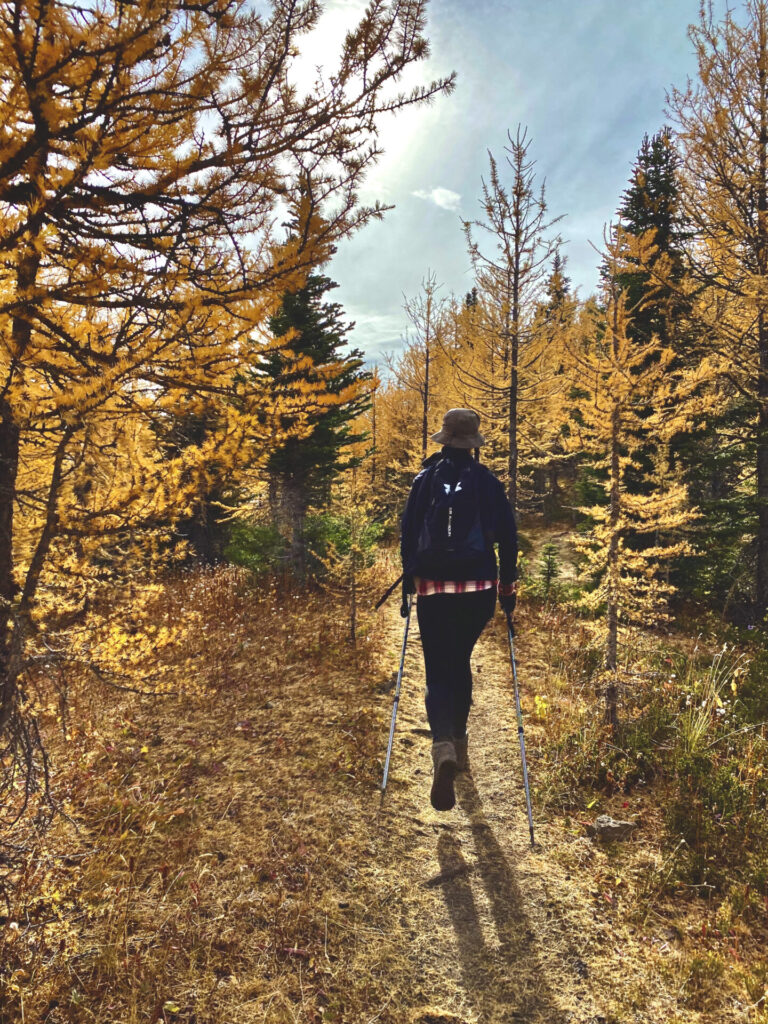 Pocaterra Ridge hike in Kananaskis