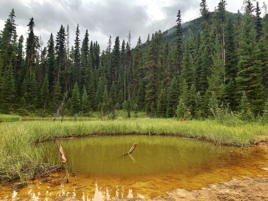 Paint Pots, Kootenay