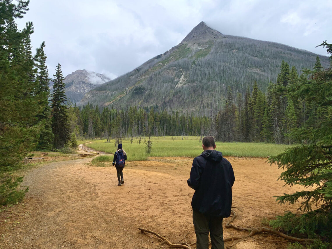 Kootenay national park clearance trails