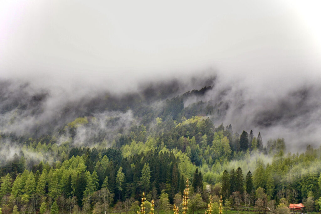 Rainy weather in Bergen