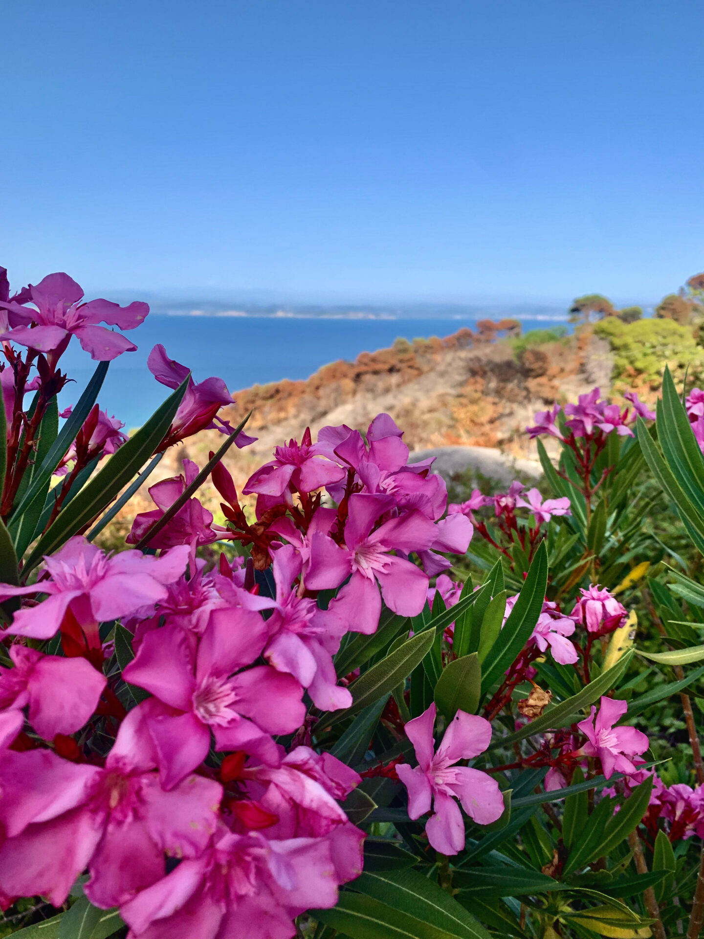 Sazan Island, Karaburun Peninsula 