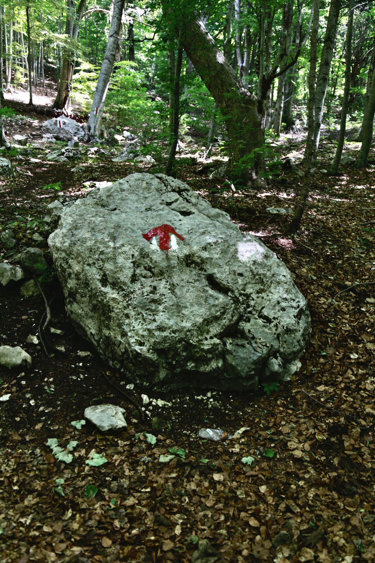 Maja e Tujanit trail markers 